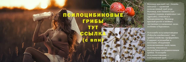 не бодяженный Аркадак