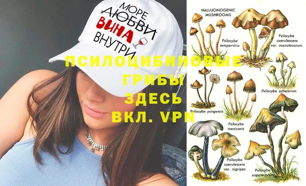 не бодяженный Аркадак