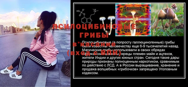 не бодяженный Аркадак