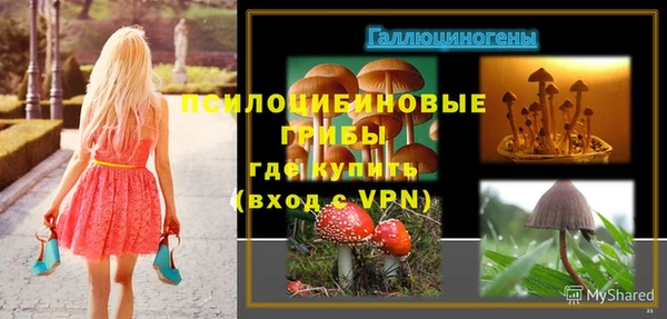крисы Арсеньев